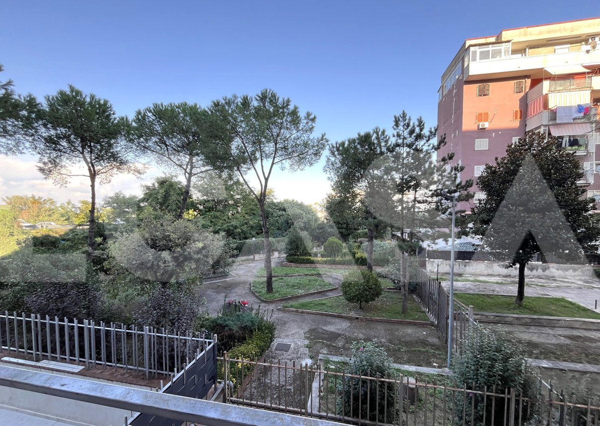 Vista
